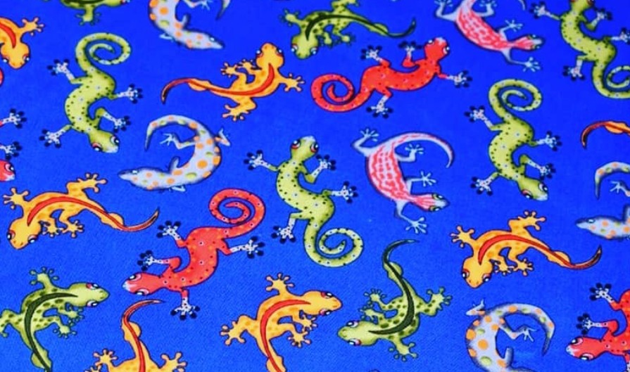 Gorgeous Geckos