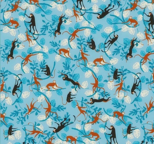 Monkeys swinging on blue