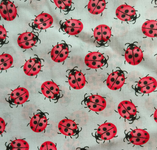 Ladybird's