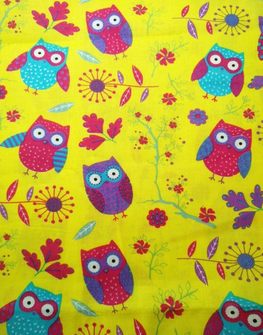 Inquisitive Owls