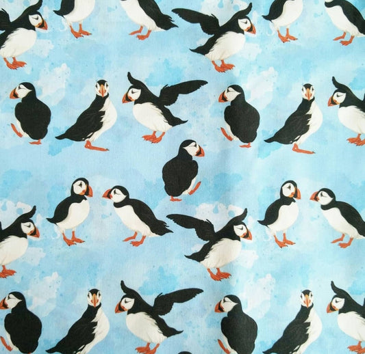Puffins on light blue