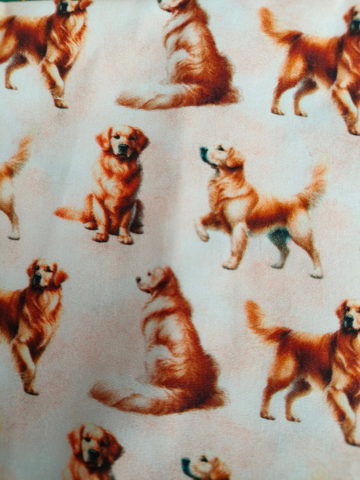 Golden Retrievers