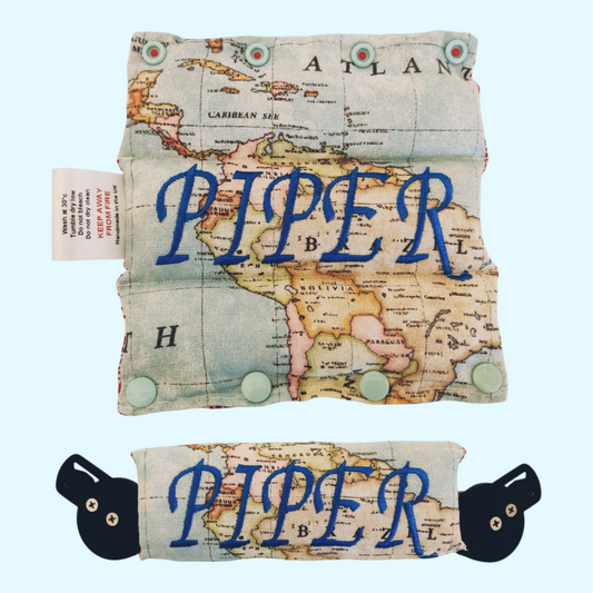 World map