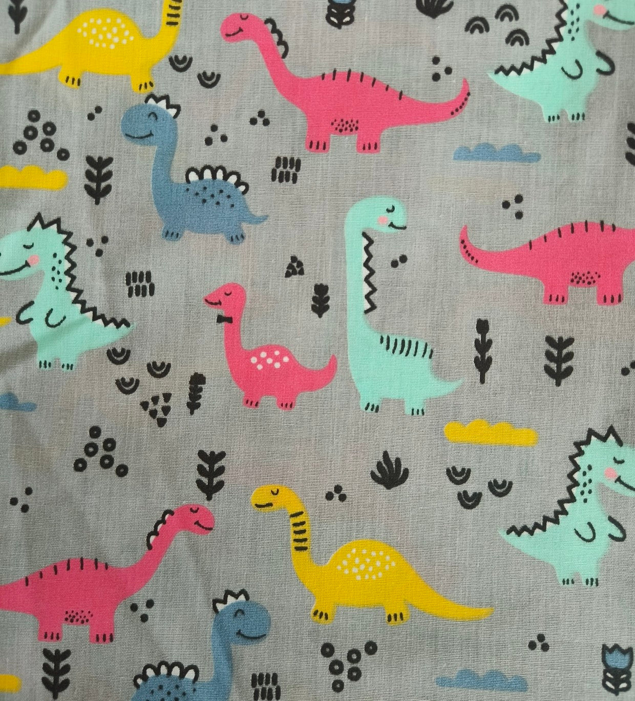 Dinos multicoloured on grey