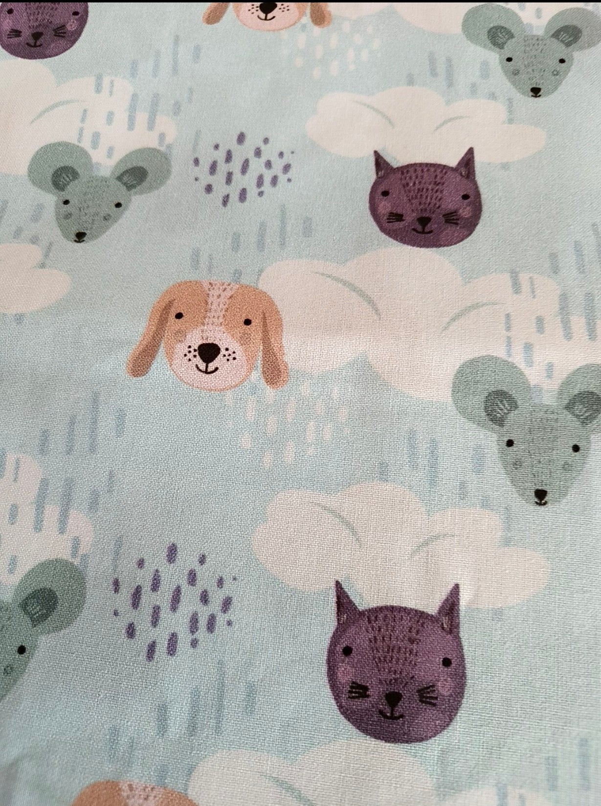Raining cats and dogs (& mice)