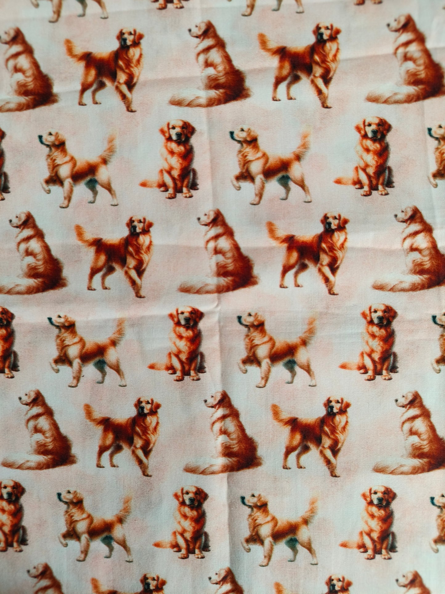 Golden Retrievers